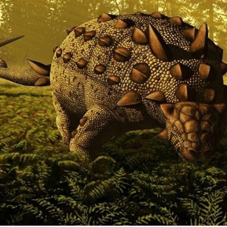 The Mighty Euoplocephalus: An Ancient Armored Beast