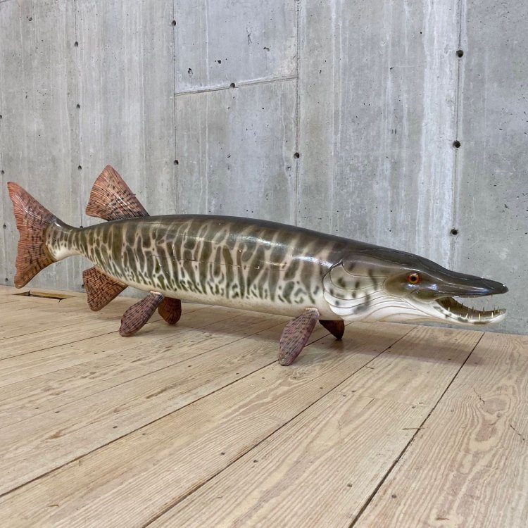 The Fascinating Tiger Muskellunge: Exploring the Hybrid Fish of North America