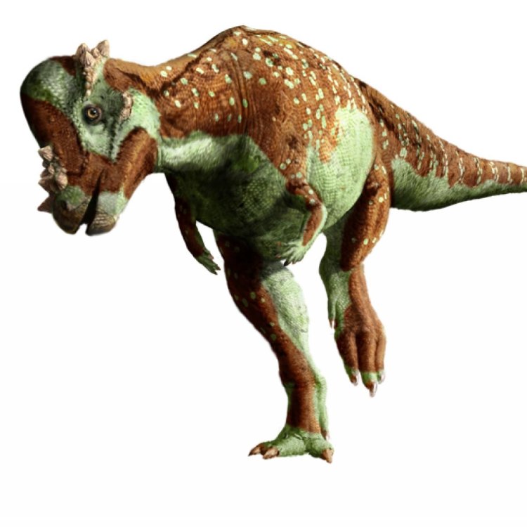 Pachycephalosaurus: The Ancient Armored Dome Head