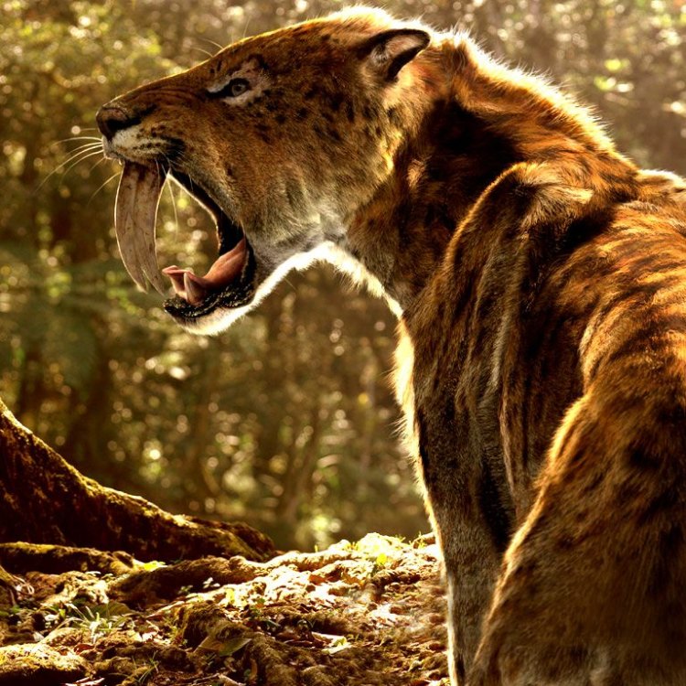 The Mighty Saber Toothed Tiger: The King of the Prehistoric Grasslands