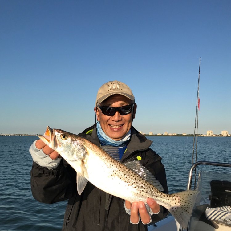 The Speckled Trout: A Beautifully Adaptable Fish