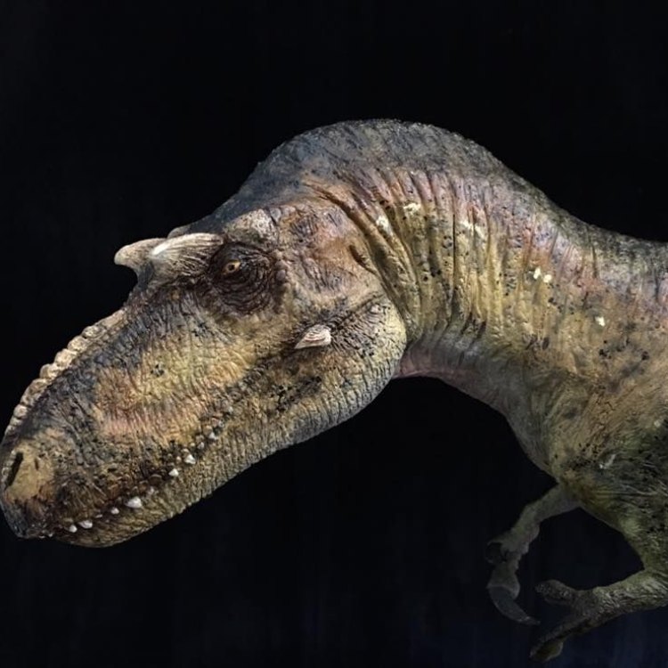 The Mighty Gorgosaurus: Master of the North American Landscapes