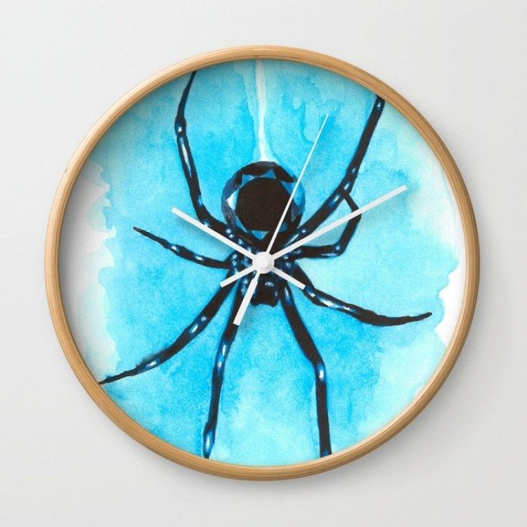 The Fascinating World of the Clock Spider: A Closer Look at Araneus diadematus