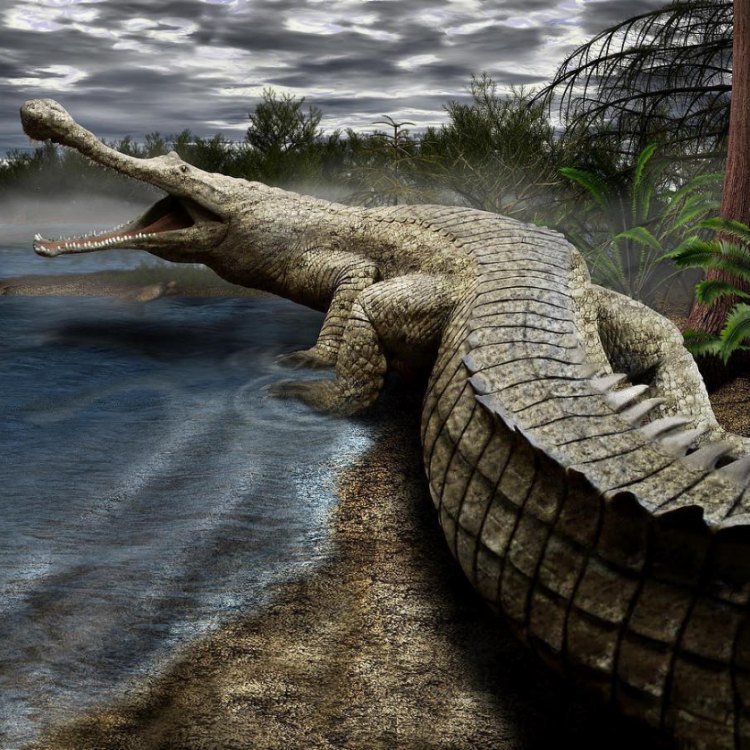 The Ancient SuperCroc: Exploring the Fascinating World of Sarcosuchus