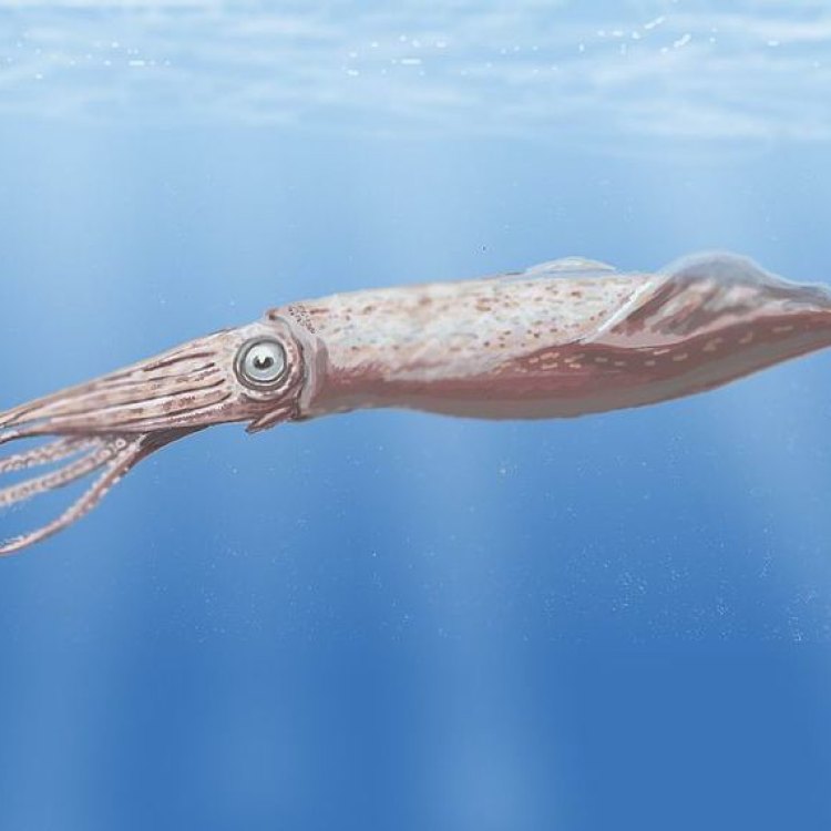 The Monstrous Tusoteuthis: The Giant of the Ocean