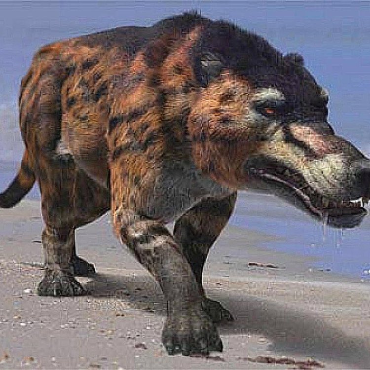 The Mysterious Andrewsarchus: Unveiling the Secrets of the Unknown Ancient Carnivore