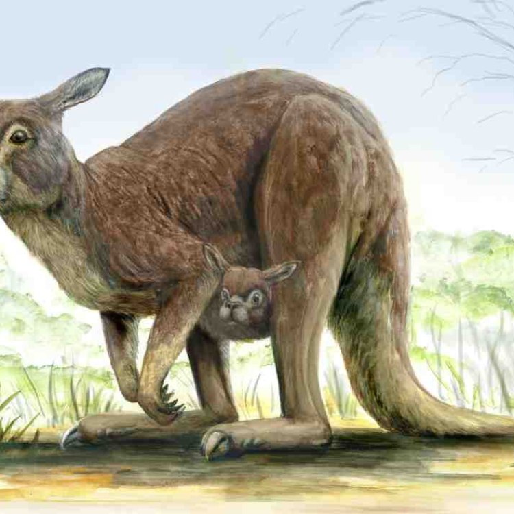 The Incredible Procoptodon: The Giant Kangaroo of Eastern Australia