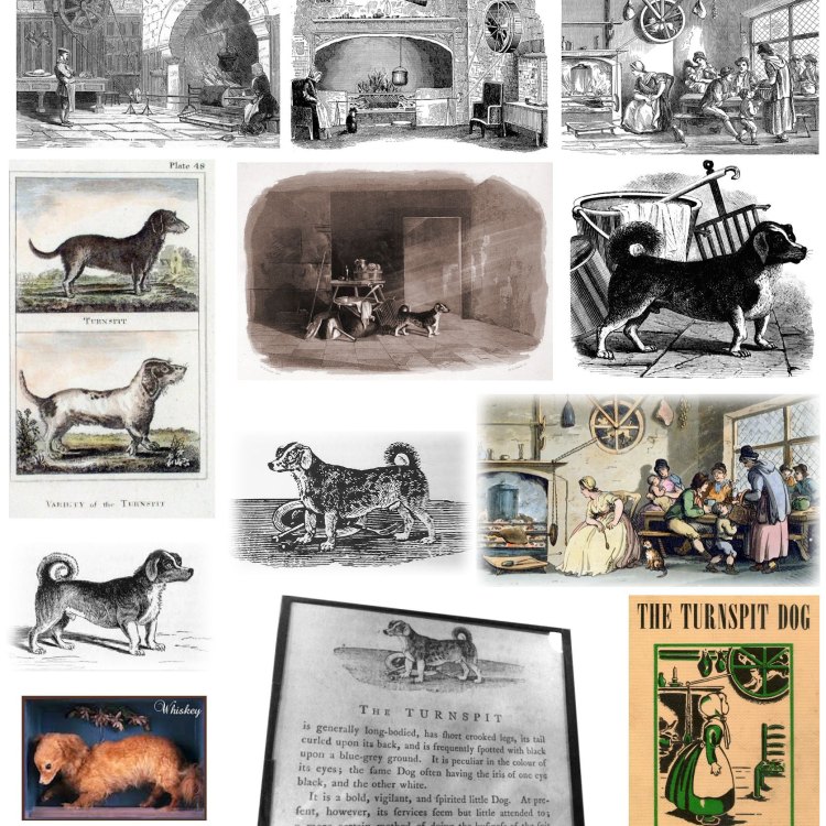 The Fascinating Story of the Turnspit: The Forgotten Working Dog of the Kitchen