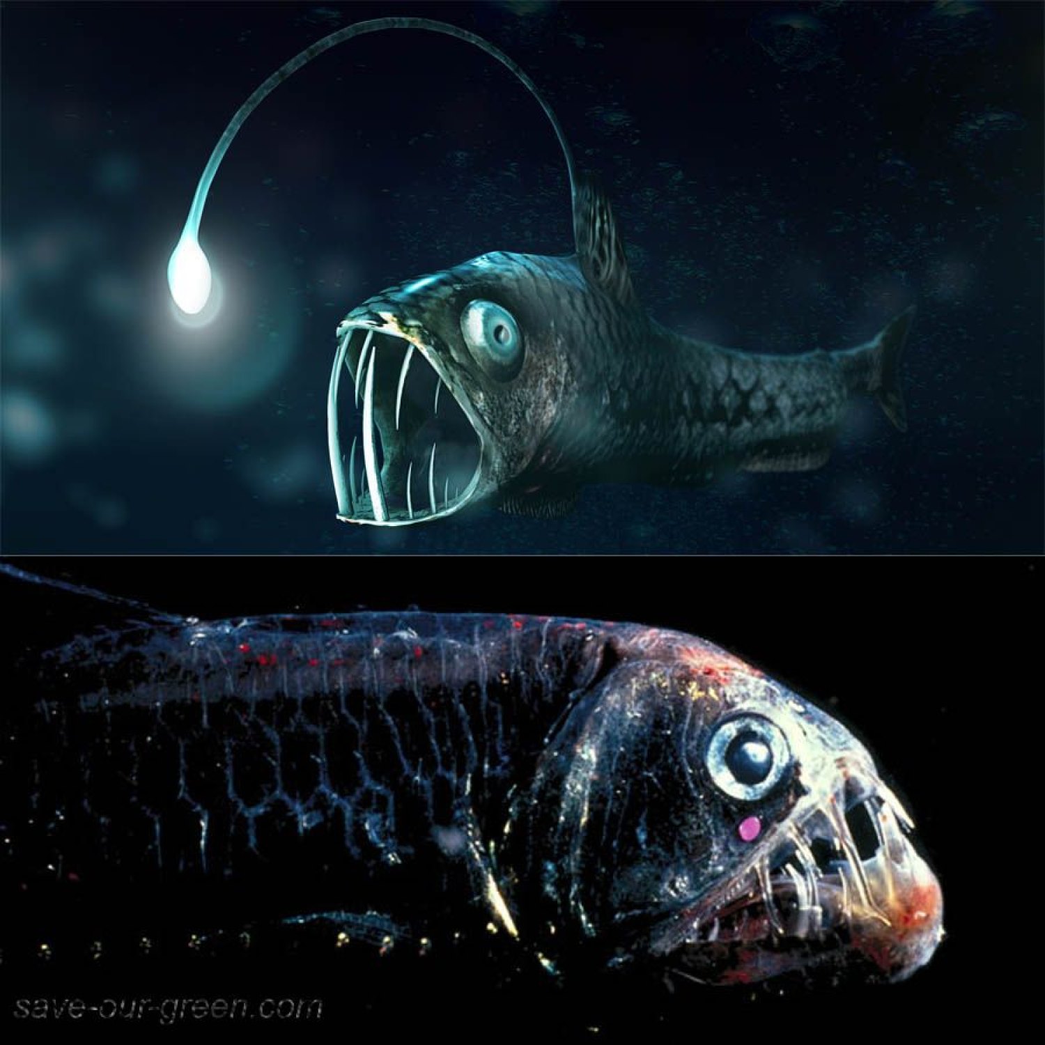 Viperfish